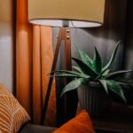 Tips for Creating a Cozy and Inviting Home Environment on a Budget